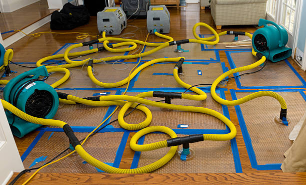 Professional Water Damage Repair technician working in Slatersville, RI